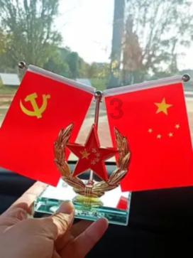 网球运动员营救